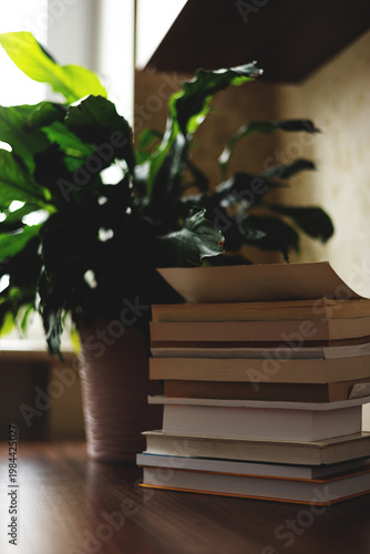 A stack of books and a flowerpot on a table. Modern interior
