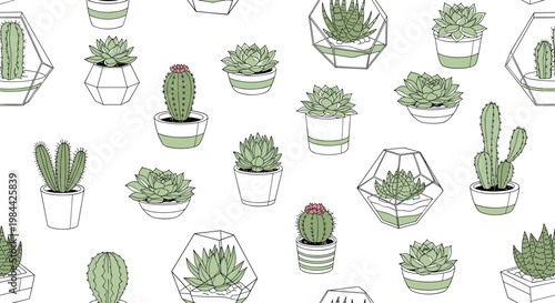 pattern of various succulents and cacti in decorative pots and geometric glass terrariums for home decor and nature lovers backgrounds.