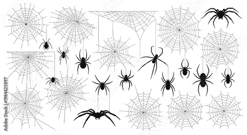 wide variety of spiders and delicate spider webs in different patterns and sizes for spooky halloween and nature education projects.