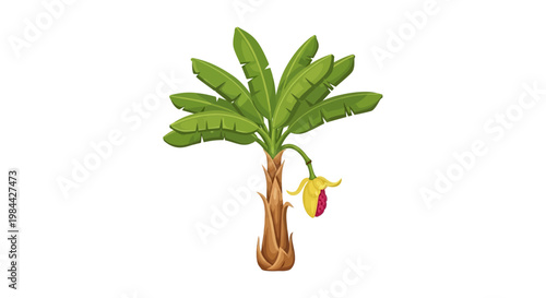 Detailed illustration of a palm tree.