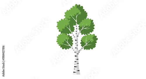 Detailed illustration of a tree.