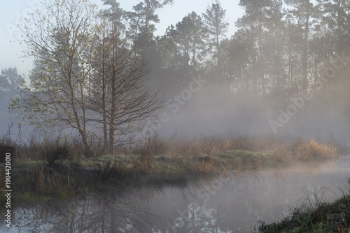 Sunlight settles a golden glow on the landscape as the early morning fog dissipates.