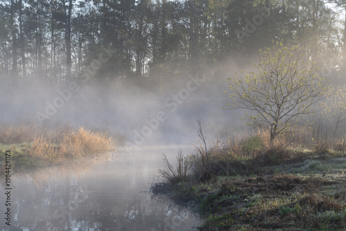 The fog lifts as the the sun rises and a golden glow lights the landscape.