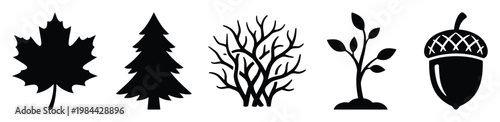 Set of essential black nature icons featuring a maple leaf, pine tree, bare branches, young sprout, and an acorn, perfect for environmental themes, educational materials, and various