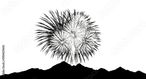 Fireworks exploding in the night.