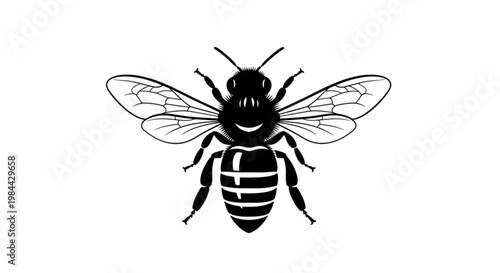 Mosquito and fly insect illustration in macro close-up style isolated on white background with detailed wings