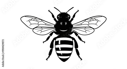 Black mosquito or wasp insect vector illustration isolated on white background with detailed wings and macro style design