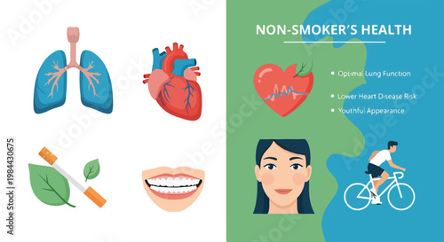Infographic illustration comparing smoker and non-smoker health, featuring lungs, heart, teeth, and a woman cycling against a green and blue background.