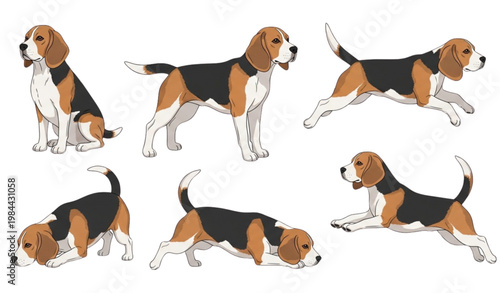 A vector graphic illustration of a beagle dog in various poses and movements