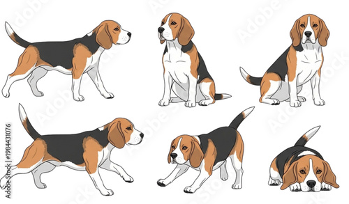 A set of colorful beagle dog illustrations in different poses and expressions