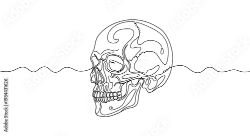 Intricate Continuous Line Drawing of a Human Skull intersected by a Gentle Wave, a Modern Interpretation of Form and Flow