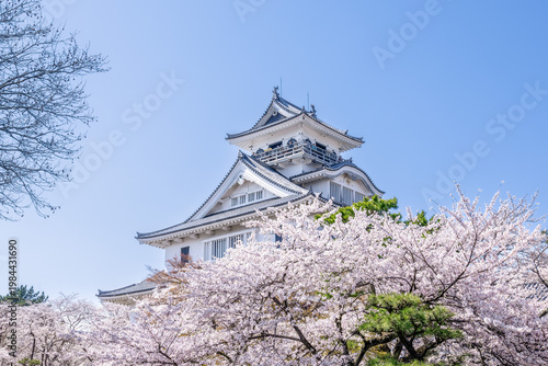 春の長浜城