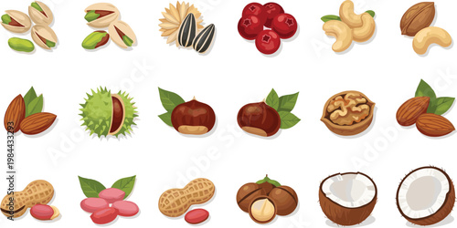 Nuts and seeds vector set with almonds peanuts pistachios walnuts coconut and healthy snack ingredients isolated on white background illustration collection
