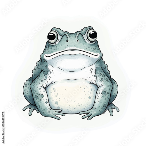 Green Frog Sitting on White Background.