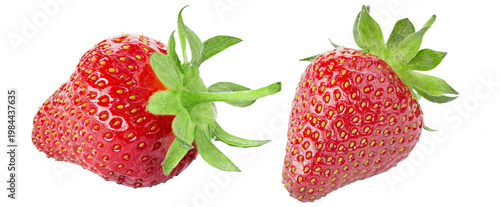 Two fresh ripe strawberries with green leaves isolated on white background. File Contains Clipping Path.