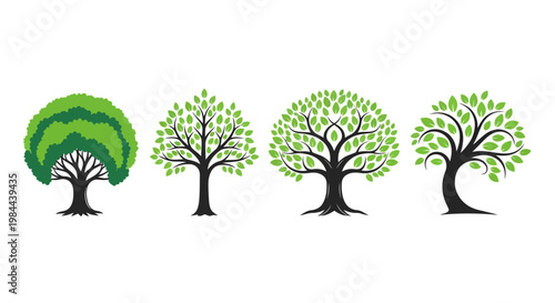 Set of four diverse stylized trees with green foliage on a white background, representing different stages of growth and seasons