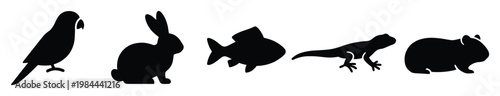 Diverse collection of animal silhouettes, featuring a parrot, rabbit, fish, lizard, and wombat, perfect for educational content, nature projects, and pet graphic resources.