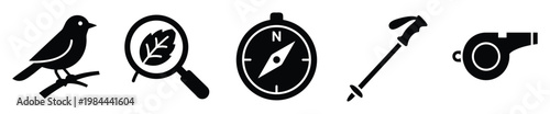 Outdoor exploration and nature adventure icons featuring a bird, magnifying glass, compass, hiking pole, and whistle, useful for website and application interfaces.