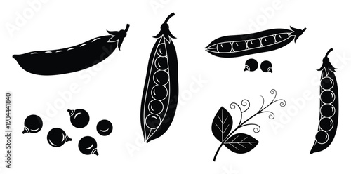 Collection of fresh green pea pods and individual peas in various forms with a pea plant branch for healthy organic food cooking recipes and gardening concepts