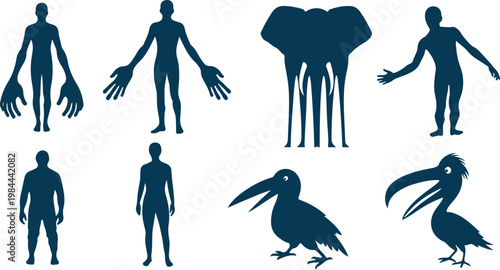 Set of stylized silhouettes featuring human figures with exaggerated hands and feet plus bird illustrations isolated on clear background