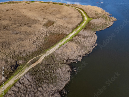 Winding Path Separating Wetland Reeds and Tranquil Water