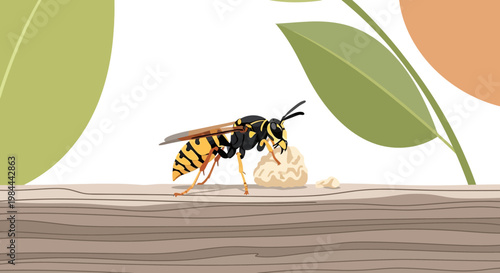 Wasp Gathering Wood Fiber for Nest Construction Vector Illustration