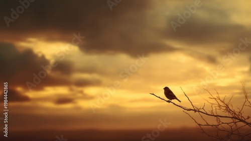 A bird silhouette perched on a barren branch against a golden brown dramatic dusk sky with swirling clouds.
