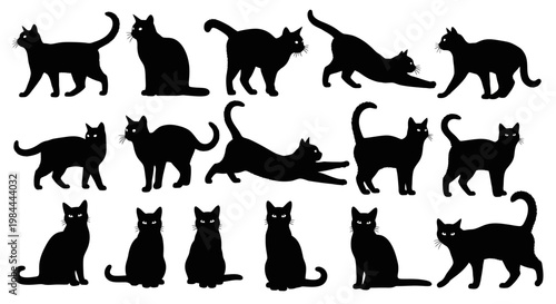Collection of Silhouettes of Domestic Cats in Various Poses and Actions