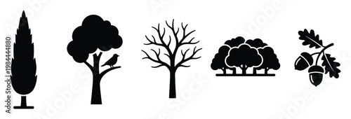 Collection of diverse tree and nature silhouettes depicting a cypress, a deciduous tree with a bird, bare winter tree branches, a dense forest, and an oak branch with acorns for ecological