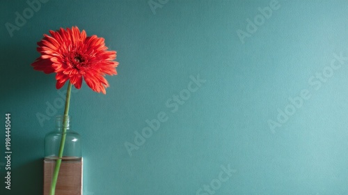 A vibrant red gerbera in a clear glass vessel on a wooden base against a serene teal wall, simple and striking.
