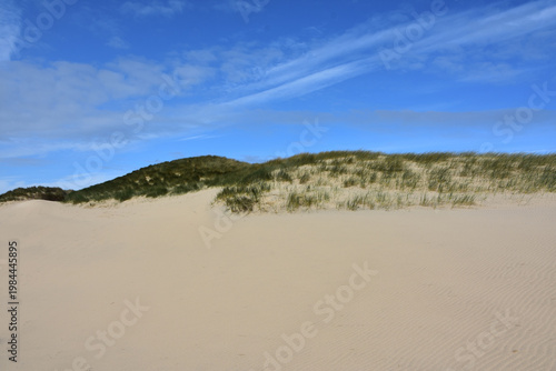 Machair Growing in the Sand Dunes Under Blue Skies