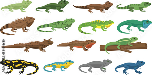 Lizard reptile vector set with colorful gecko iguana salamander and species collection isolated on white background