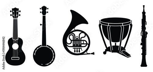 Collection of diverse musical instrument silhouettes including ukulele banjo French horn timpani and oboe perfect for music education and graphic design projects