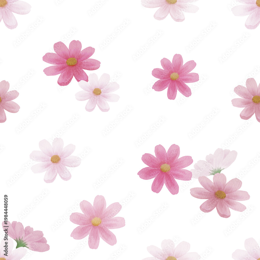 Fototapeta premium Watercolor cosmos flowers seamless pattern on black background with pink and white blooms300dpi