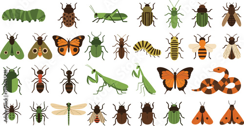 Insects and bugs vector set with butterflies beetles ants caterpillars and wildlife collection isolated on white