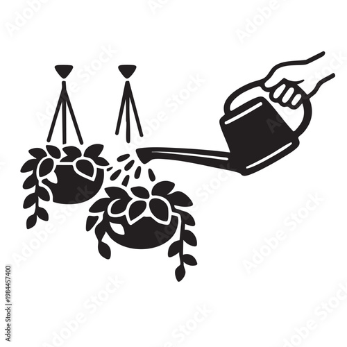 A person watering indoor hanging plants with a watering can.