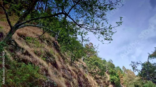 A rugged hillside in Mukteshwar, Uttarakhand rises with exposed rocky cliffs and scattered trees, crowned by a dramatic dead branch silhouette against a vast, cloud-filled sky.