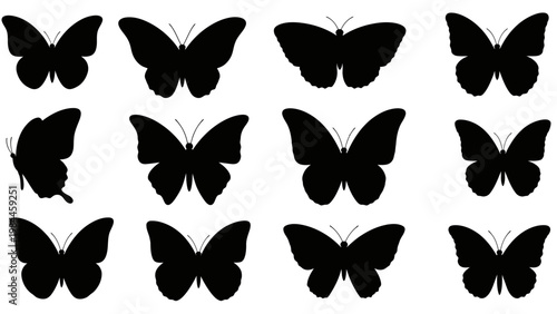Silhouetted butterflies arrayed on white background for graphic design