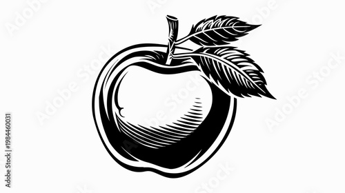 Black and white illustration of a ripe apple with leaves isolated on white