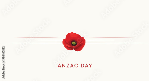 Anzac Day commemorative banner with red poppy flower, memorial day background with poppy blossom, remembrance day vector illustration