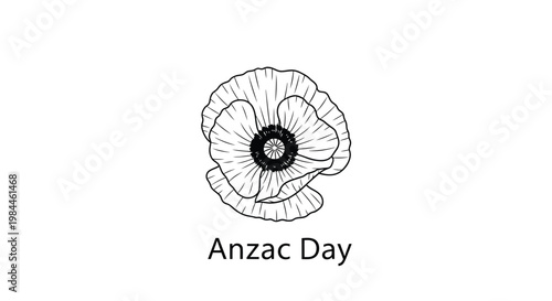 Anzac Day poppy flower illustration, hand drawn black and white floral vector, remembrance day memorial symbol, botanical line art poppy