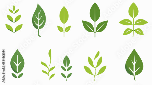 Set of green leaves illustrations for design elements and nature concepts
