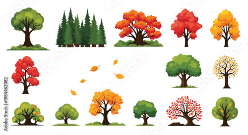 Diverse collection of trees in various shapes colors and seasonal stages including green pines and autumn colored deciduous trees.