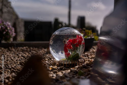 Glass Sphere with Red Flower on Grave Symbolic Memory Concept