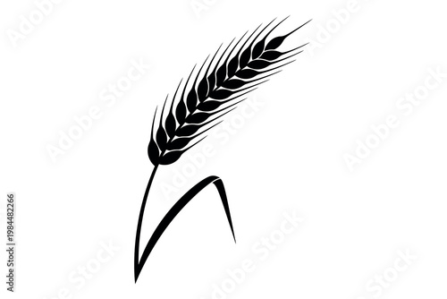 A black and white illustration of a wheat stalk with a curved stem and feathery plumes on a plain white background