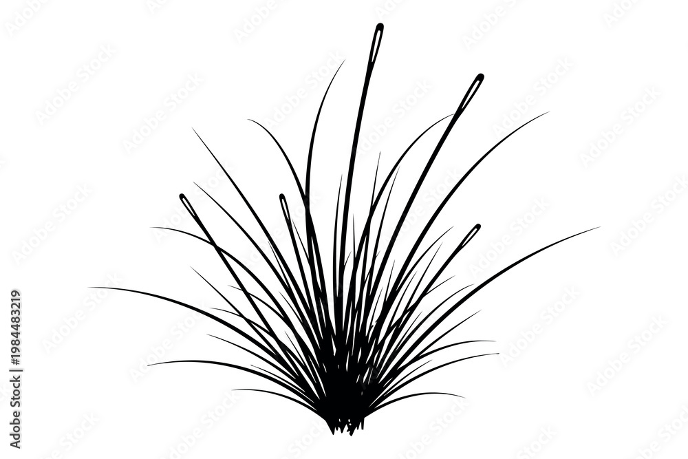 Fototapeta premium A black and white illustration of a plant with long thin leaves and stems growing from the base