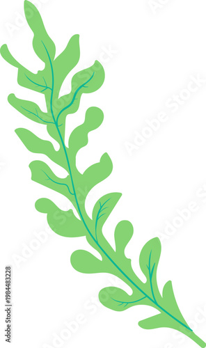 Leaf Herb Sprig Botanical