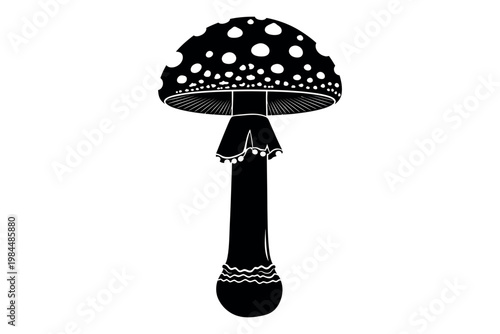 A black and white illustration of a mushroom with a spotted cap and long stem set against a plain white background for contrast