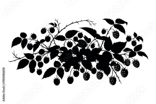 Blackberry branch silhouette with leaves and fruit