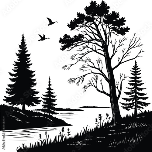 Forest Lake Landscape Silhouette with Pine Trees and Flying Birds on White Background